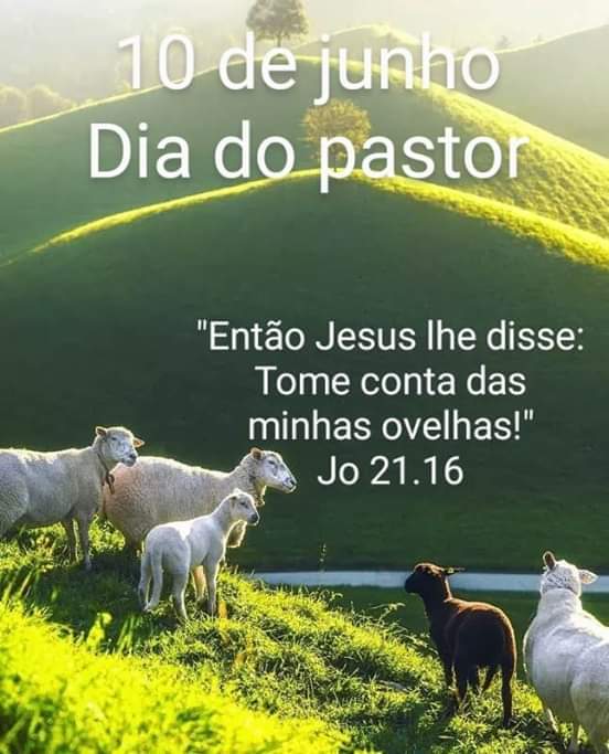 Dia do Pastor